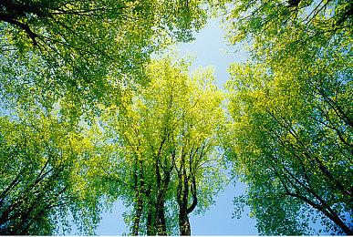 还有一天！《明末：渊虚之羽》发布女主黑丝美图